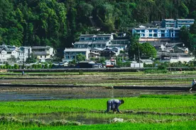 来腾冲旅游必住的特色民宿酒店你知道吗（一）图片
