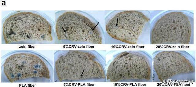 香芹酚掺入玉米醇溶蛋白和聚乳酸的电纺纤维膜用于食品包装