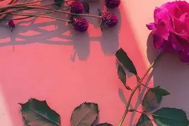 14句“有点污”的肉麻情话，杀伤力极强，男朋友荷尔蒙飙升图片