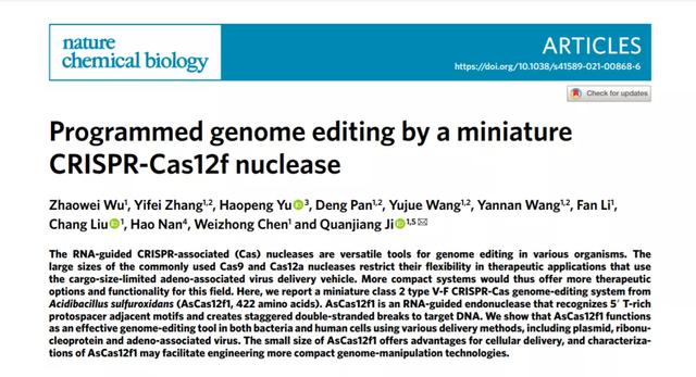 中国学者发现的迷你版CRISPR-Cas基因编辑系统，有何精巧之处？