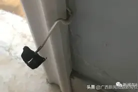 精装修的新房到处长黑蘑菇，业主拔了四次还在长……图片