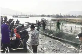 兰亭街道张家葑村：自然生态湿地 典型鱼米之乡图片