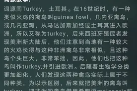 单词会背了图片