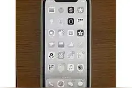 晚上刷手机，教你将iPhone 设置为“水墨屏”更加护眼图片
