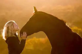 9部最好的，关于马的电影，每个人都会对马儿着迷（上）图片