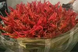 今天晚上去表白，我能成功吗？图片