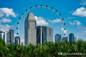 终于知道 Shell 中单引号双引号的区别了图片