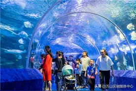 五一游九丰 海洋馆里欢乐多图片