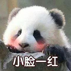 外地户口，没有学历，如何落户成都？