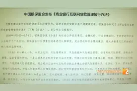 重磅发布！互联网贷款新规落地：个人贷款上限20万元图片