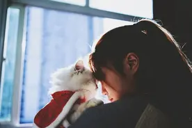 低头赶路的职场人，无法拒绝一只猫：为什么年轻人都爱养猫？图片