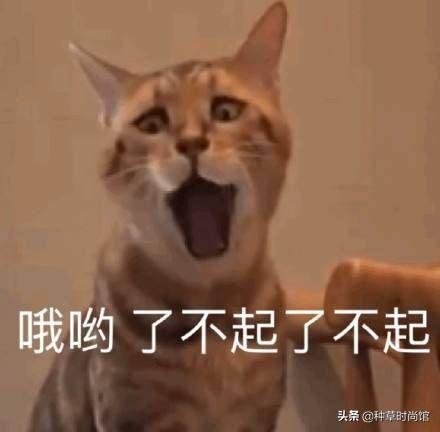 浣犵殑娲楅潰濂朵笂榛戝悕鍗曚簡鍚楋紵杩?娆惧埆涔帮紝浼氱儌鑴? onerror=