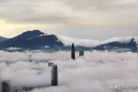 锐视角｜起风了，唯有努力生存图片