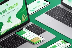 谁说PPT颜色必须很丰富？我用绿色就能帮阿里搞定，还超高级图片