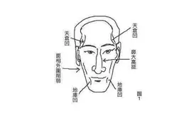 面相学：“麻面青须不可交，两腮无肉大弯腰”，指的是什么？图片