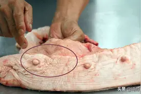 买猪肉，要避开“老母猪肉”，与“正常肉”差别太大，买错难下咽图片