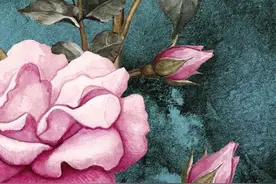 有些女人愿意跟你聊天，却不愿意跟你约会，通常有三个原因图片