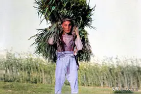 河北秦皇岛：1918年，洋人摄影师在北戴河农村所见图片