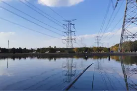 钓友们：钓鱼时鱼竿接触高压电线触电身亡，责任如何分摊？图片