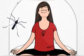 世界蚊子日 | 如何科学地让蚊子去「咬别人」？图片