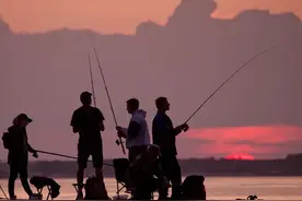 躺平钓鱼，中年男人的终极梦想图片