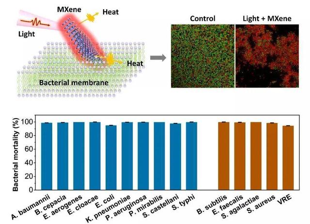 芳香L-氨基酸脱羧酶缺乏症是一种罕见的，由多巴脱羧酶缺陷引起的