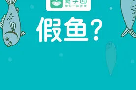 信不信，你给宝宝吃的这些鱼，可能是“假”的图片