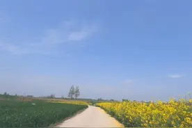 实地探访阜阳三河村，撒网捞出8件宝贝，还有一件国宝图片