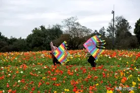 滴！旅游卡，来蒲江这个地方不得不去！图片