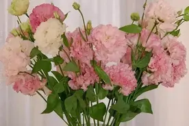 语文知识1：正确使用事实论据图片