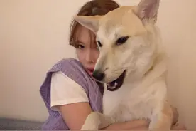 泫雅与狗狗互动温馨可爱，穿紫色针织马甲少女感满满图片