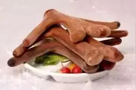 鹿的伴生药材图片
