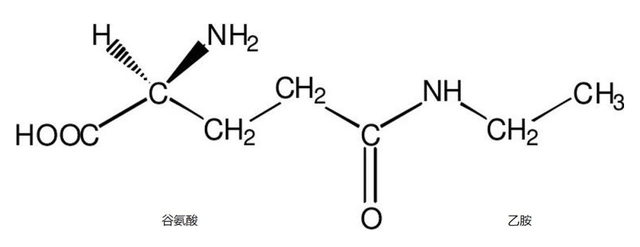 茶叶中的茶氨酸是什么，它的保健功效：抗血压、抗肿瘤、缓解抑郁症、增强记忆力