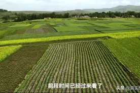 故事：帮助10万人年收入翻6倍！轮椅女孩李晓梅带领村民种土豆脱贫致富图片