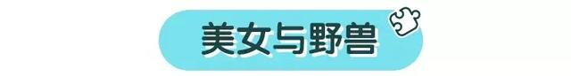 不是所有公主动画都适合孩子，真正好的还是这几部