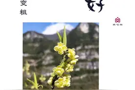 选择大于一切/卢老师讲男性成长复盘图片
