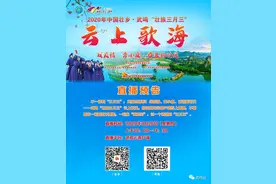 线上对歌也精彩！武鸣“壮族三月三”云上歌海喊你一起来嗨图片