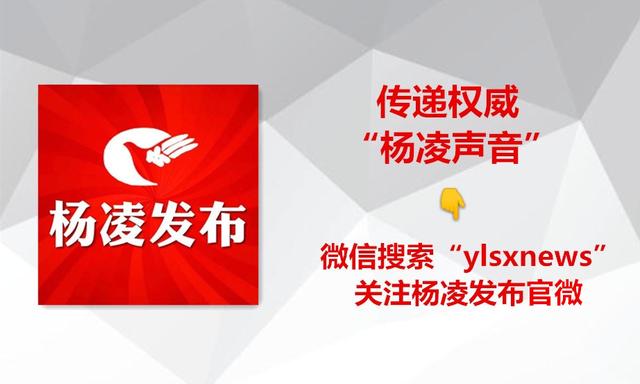 种菜不卖菜，农科城里造“芯片”！