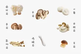 菌菇，食物中的优等生图片