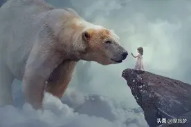 有钱人花上33万，就可以在加拿大合法杀死一只北极熊图片