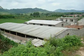 养殖场究竟能不能建在永久基本农田上？怎样报批才不算违建？图片