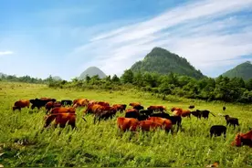 【重庆风景名胜】云阳县龙缸景区图片