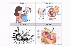 从羊水穿刺到凶险性前置胎盘，二胎妈妈惊心动魄的孕期经历图片