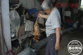 神秘野兽半夜进农场，咬死60多只鸡和鹅！民警却说不能伤害它图片