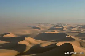 3死450伤，埃及极端天气下，蝎子为啥这么强？图片