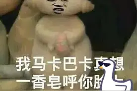 怎么礼貌的优雅的骂人？图片