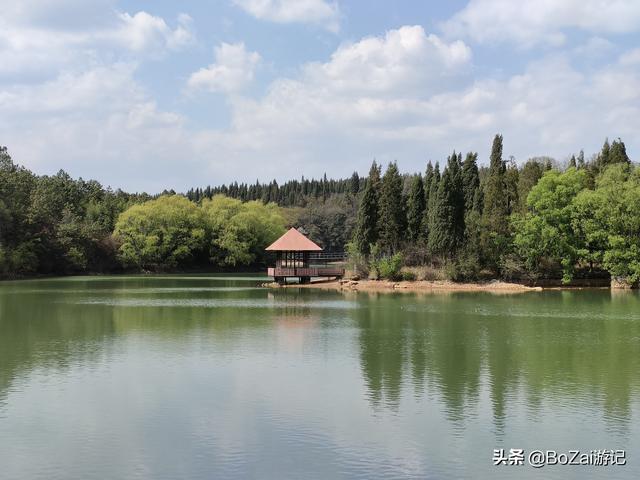 到云南曲靖旅游必去的17大景点，你去游玩过几个？最爱哪个景点