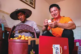 泸州纳溪：“村主任”代言 电商进村枇杷不愁卖图片