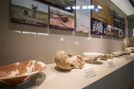 西安一农村发现唐代窖藏，出土265件金银器物，秘藏34年才被公布图片
