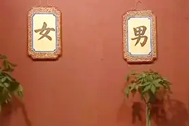 男子上厕所不分男女上错厕所，跑到女厕所，吓得女子大喊抓流氓视频封面